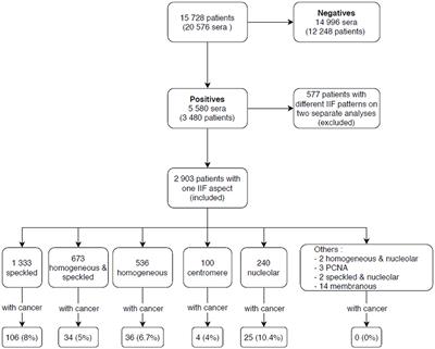 Antinuclear Antibodies With a Homogeneous and Speckled Immunofluorescence Pattern Are Associated With Lack of Cancer While Those With a Nucleolar Pattern With the Presence of Cancer